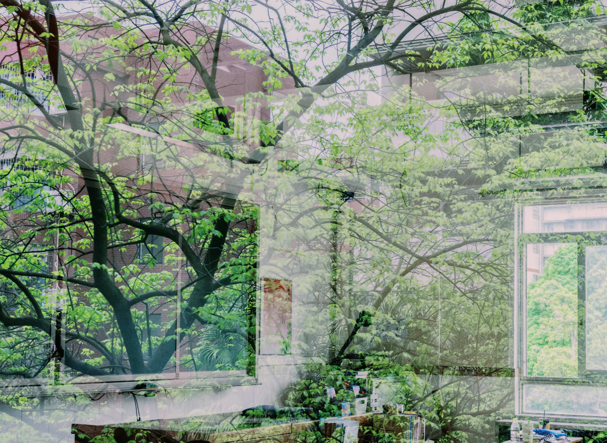 Biophilia