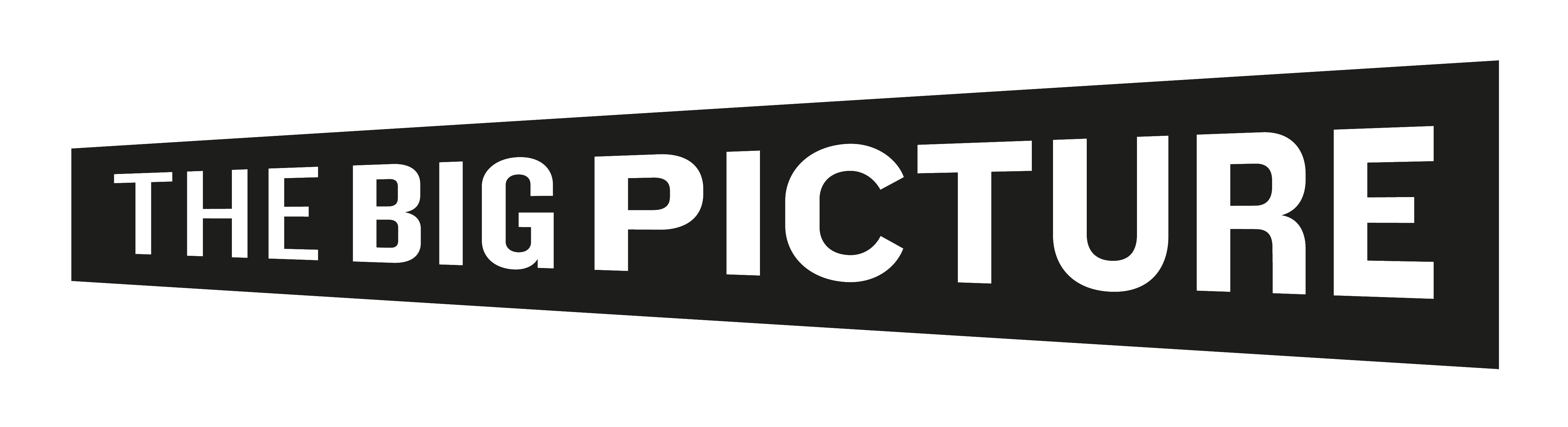 The_Big_Picture