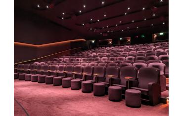 The Cinema in the Power Station