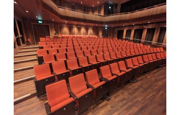 The Royal Irish Academy of Music (RIAM)