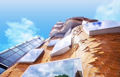 frank-gehry-without-face.jpg